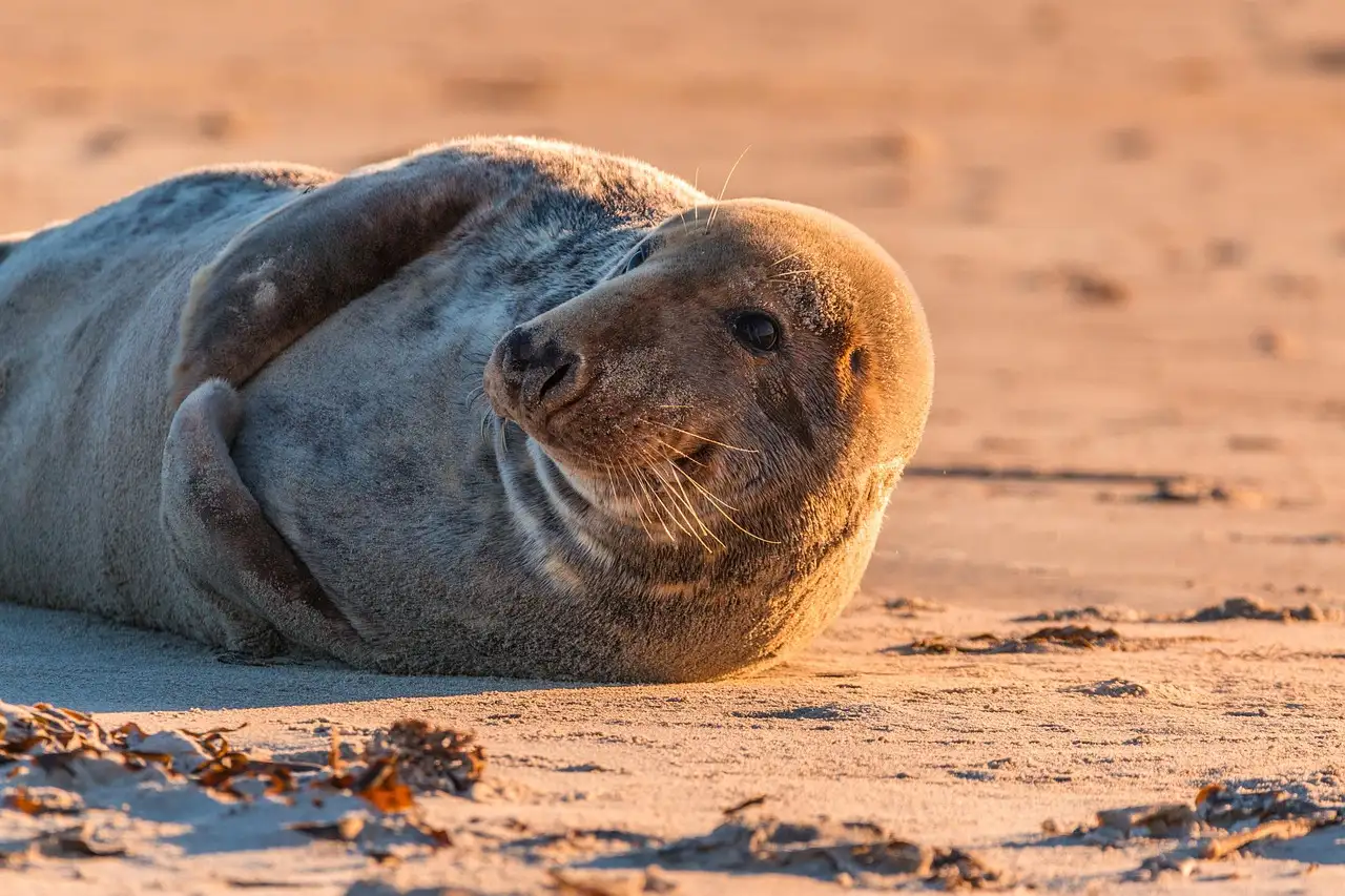 Helgoland Luxushotel: Exklusive Inselträume am Meer genießen
